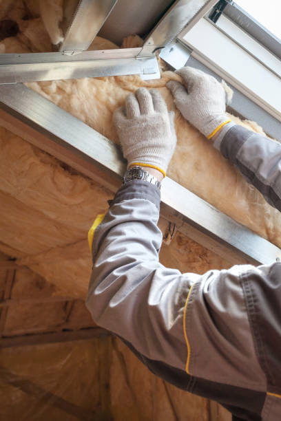 Best Insulation Contractors for Homes  in Hanamaulu, HI